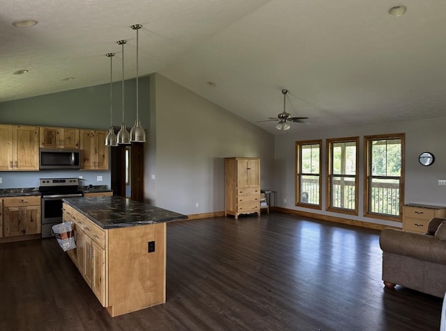 639 Mcguire Rd, New Market, TN 37820 - kitchen with appliances with stainless steel finishes, open floor plan, a ceiling fan, dark wood-style floors, and high vaulted ceiling