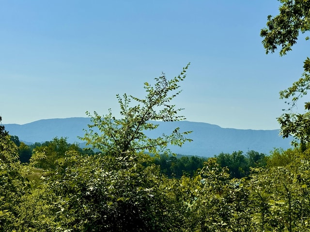 2119 Ted Moore Rd, Dandridge, TN 37725 - view of mountain background featuring a forest