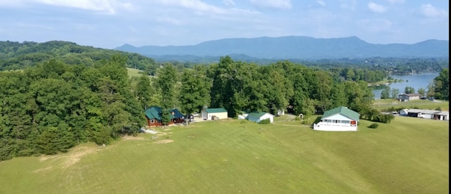 2119 Ted Moore Rd, Dandridge, TN 37725 - drone / aerial view of a water and mountain view and a forest