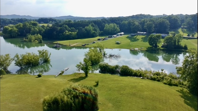 2119 Ted Moore Rd, Dandridge, TN 37725 - aerial view of a nearby body of water