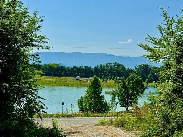 2119 Ted Moore Rd, Dandridge, TN 37725 - water view featuring a mountainous background