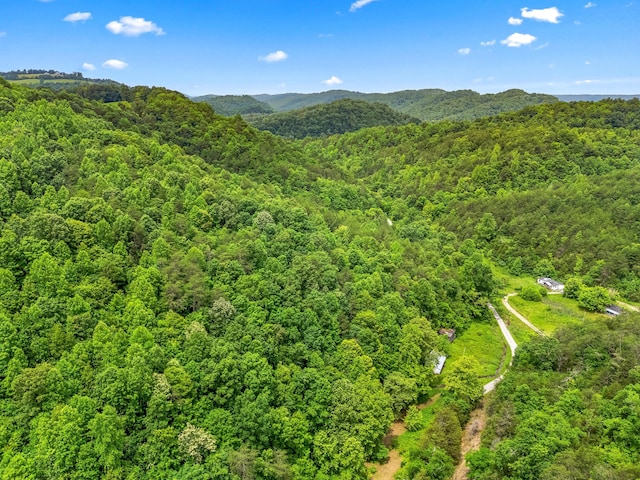 1185 Yellow Branch Rd, Sneedville, TN 37869 - photo 4