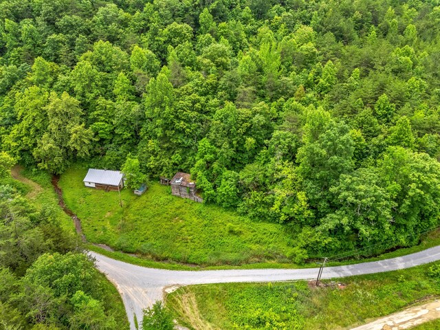 1185 Yellow Branch Rd, Sneedville, TN 37869 - photo 13