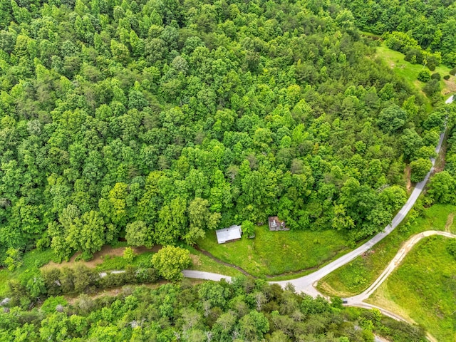 1185 Yellow Branch Rd, Sneedville, TN 37869 - photo 14