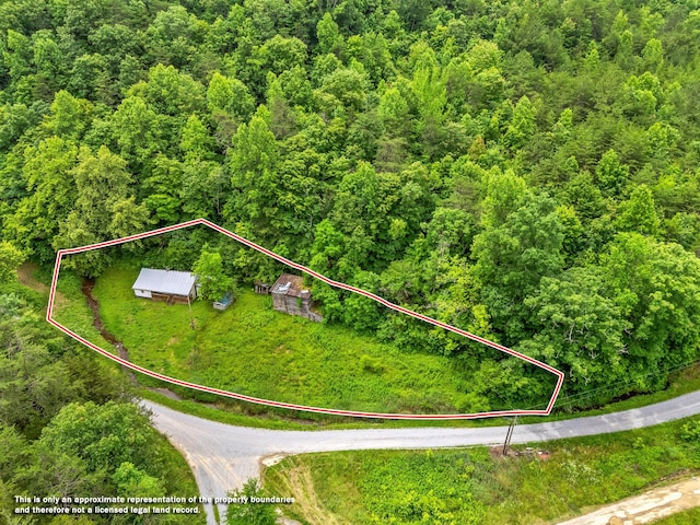 1185 Yellow Branch Rd, Sneedville, TN 37869 - photo 2