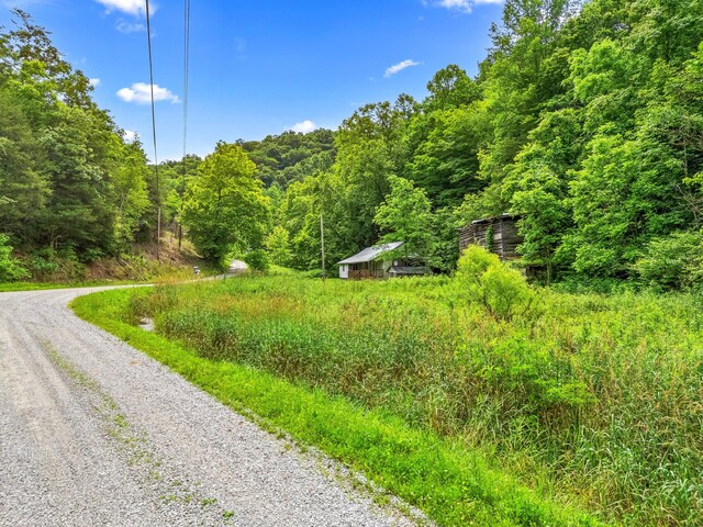 1185 Yellow Branch Rd, Sneedville, TN 37869 - photo 8