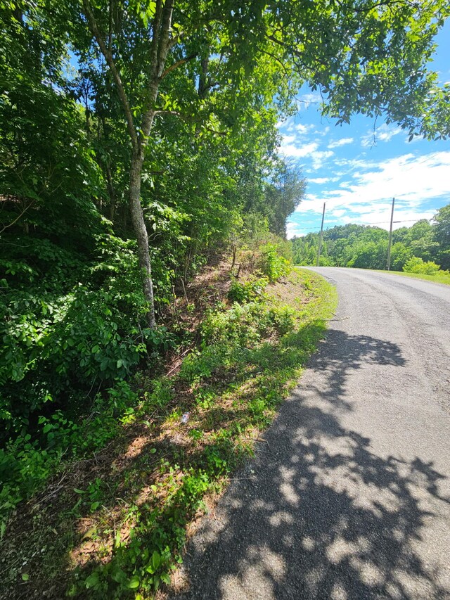 3.35 Oakwood Rd, Midway, TN 37809 - photo 18
