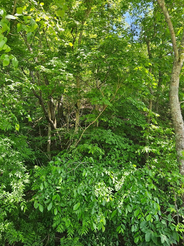 3.35 Oakwood Rd, Midway, TN 37809 - photo 16