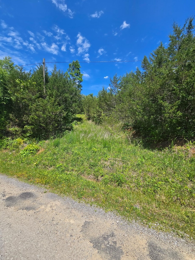 3.35 Oakwood Rd, Midway, TN 37809 - photo 20