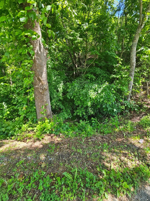 3.35 Oakwood Rd, Midway, TN 37809 - photo 17