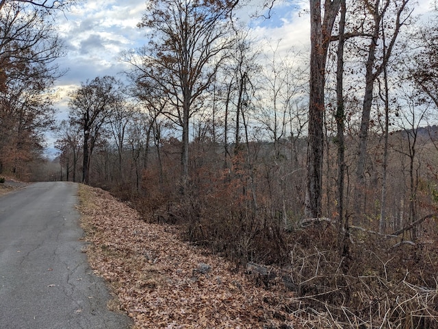 Listing photo 2 for LOT44 Cliffwood Dr, Newport TN 37821