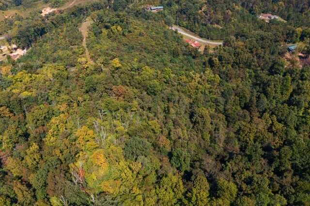 11 Nina Rd, White Pine, TN 37890