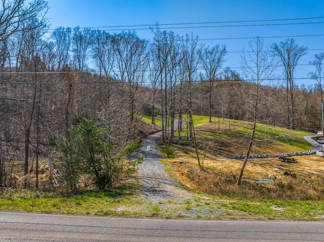 11 Nina Rd, White Pine, TN 37890