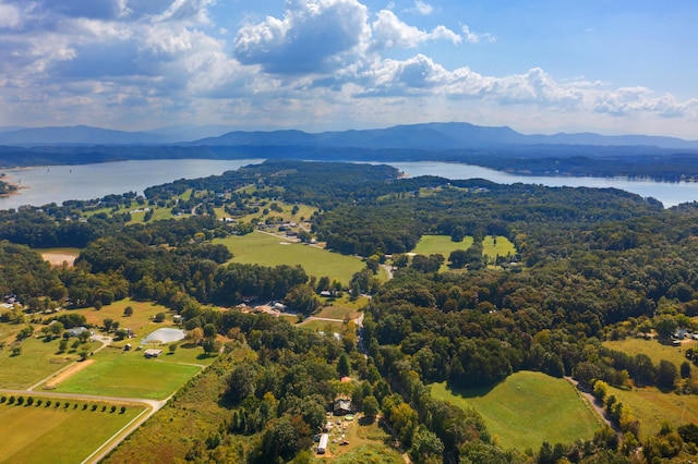 11 Nina Rd, White Pine, TN 37890