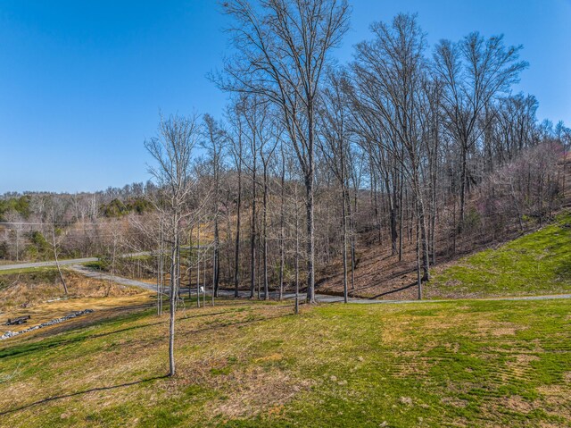 11 Nina Rd, White Pine, TN 37890