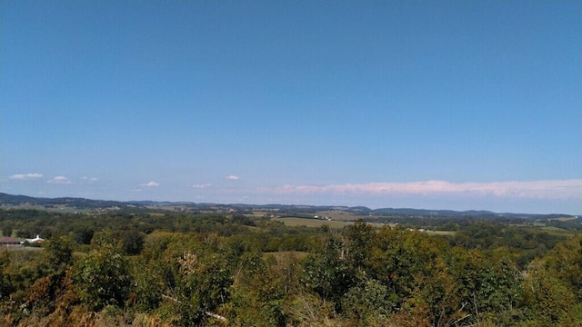 11 Nina Rd, White Pine, TN 37890