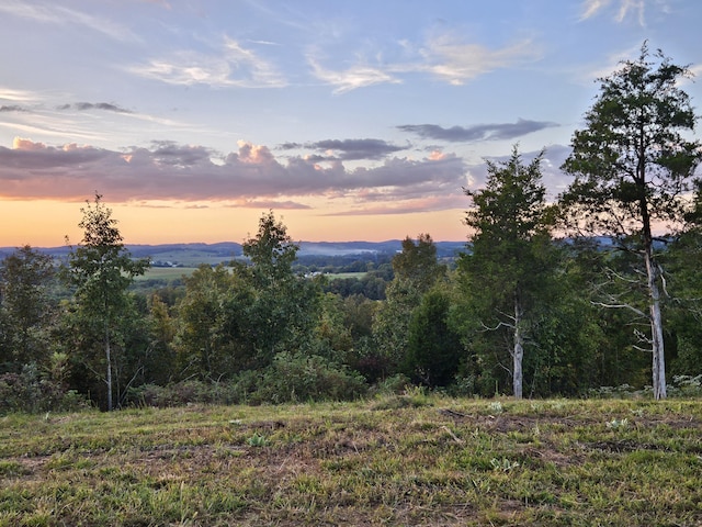 11 Nina Rd, White Pine, TN 37890