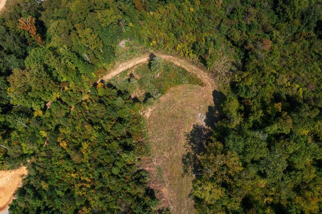11 Nina Rd, White Pine, TN 37890