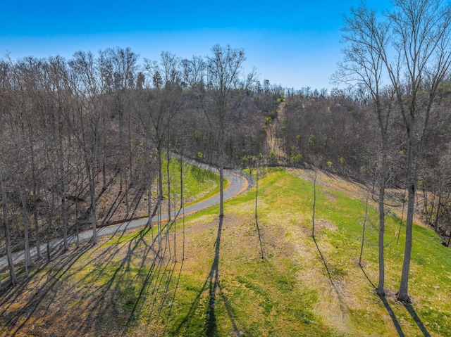 11 Nina Rd, White Pine, TN 37890