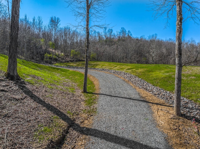 11 Nina Rd, White Pine, TN 37890