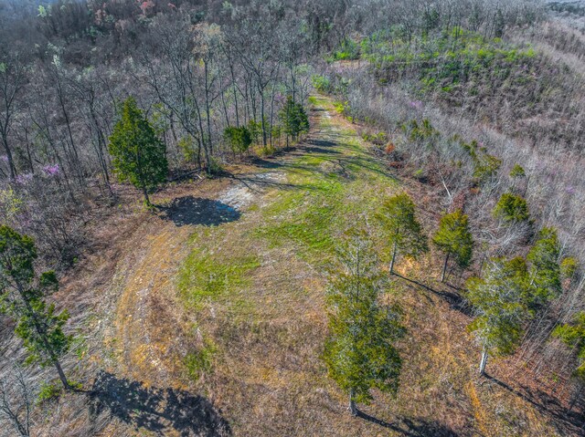 11 Nina Rd, White Pine, TN 37890