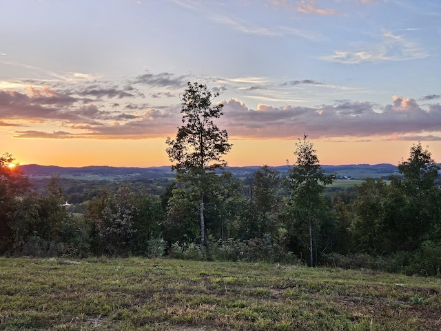 11 Nina Rd, White Pine, TN 37890