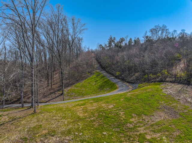11 Nina Rd, White Pine, TN 37890