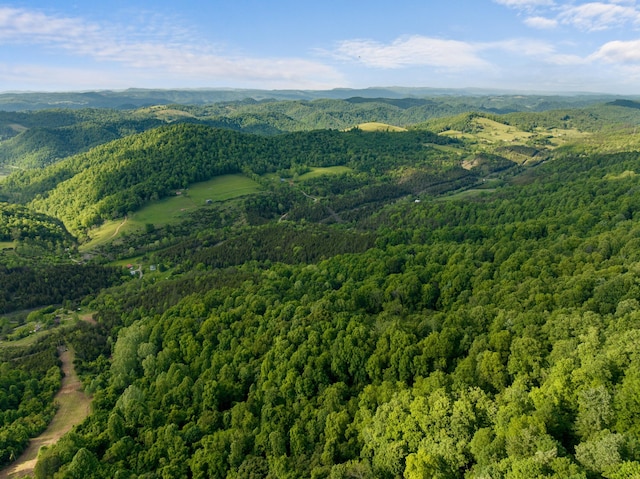 1250 Clinch Mountain Rd, Eidson, TN 37731