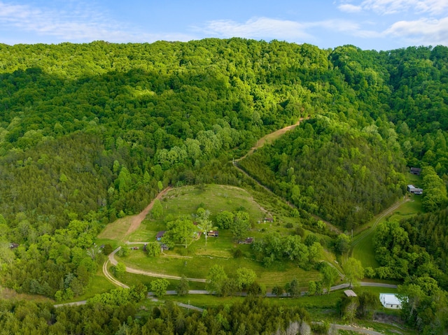 1250 Clinch Mountain Rd, Eidson, TN 37731
