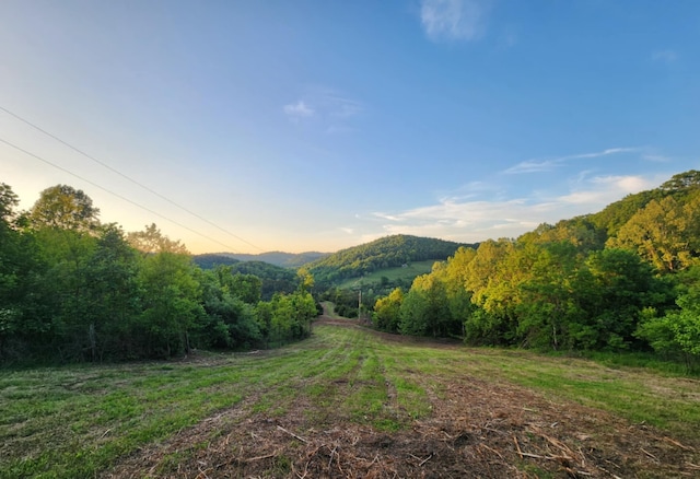 1250 Clinch Mountain Rd, Eidson, TN 37731