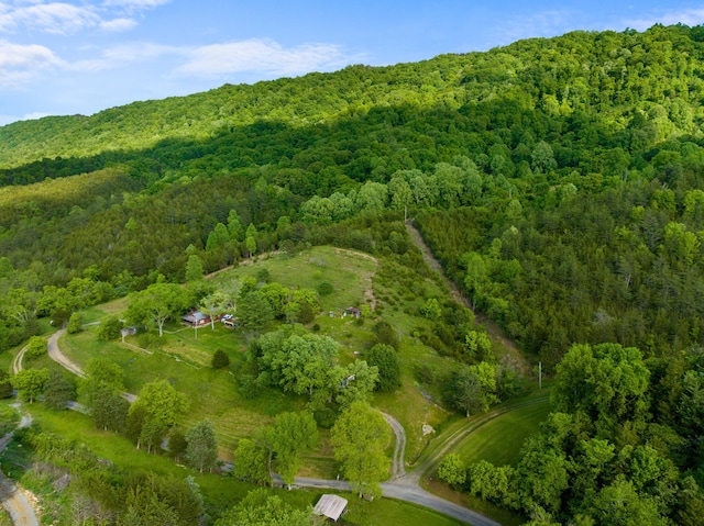 1250 Clinch Mountain Rd, Eidson, TN 37731