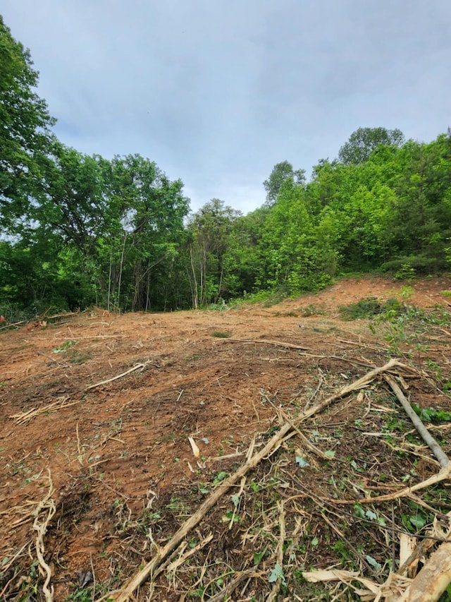 1250 Clinch Mountain Rd, Eidson, TN 37731
