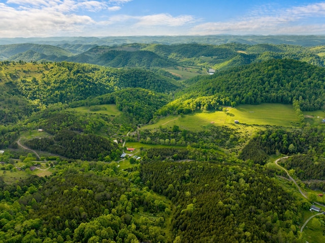 1250 Clinch Mountain Rd, Eidson, TN 37731