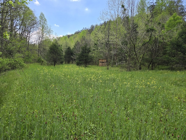 1250 Clinch Mountain Rd, Eidson, TN 37731