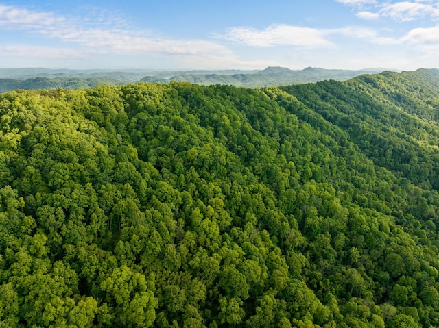 1250 Clinch Mountain Rd, Eidson, TN 37731