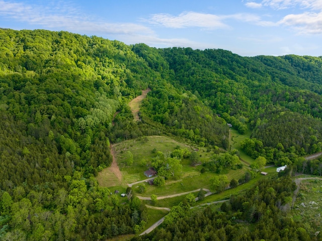 1250 Clinch Mountain Rd, Eidson, TN 37731