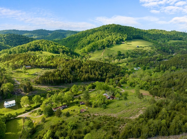 1250 Clinch Mountain Rd, Eidson, TN 37731