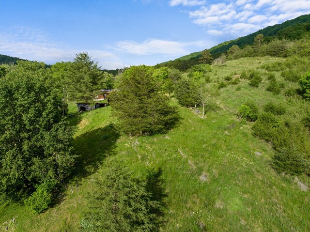 1250 Clinch Mountain Rd, Eidson, TN 37731