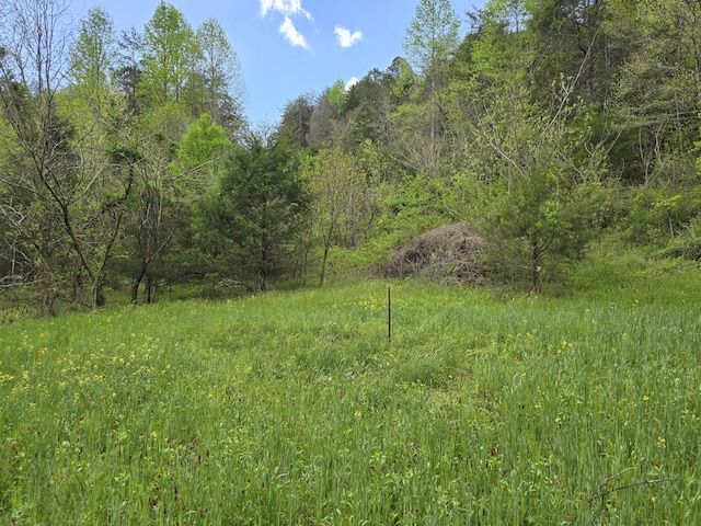 1250 Clinch Mountain Rd, Eidson, TN 37731