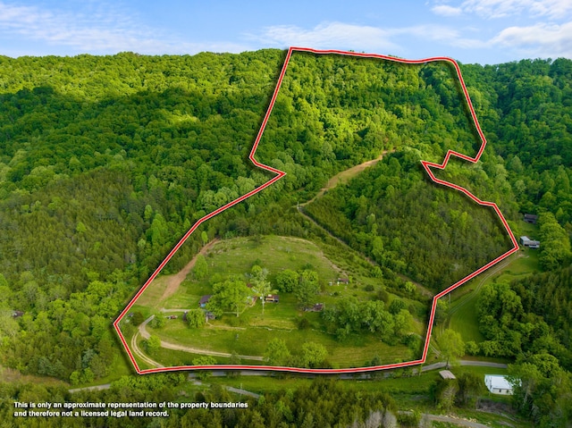 1250 Clinch Mountain Rd, Eidson, TN 37731