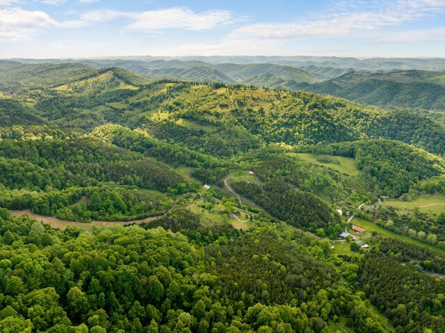 1250 Clinch Mountain Rd, Eidson, TN 37731