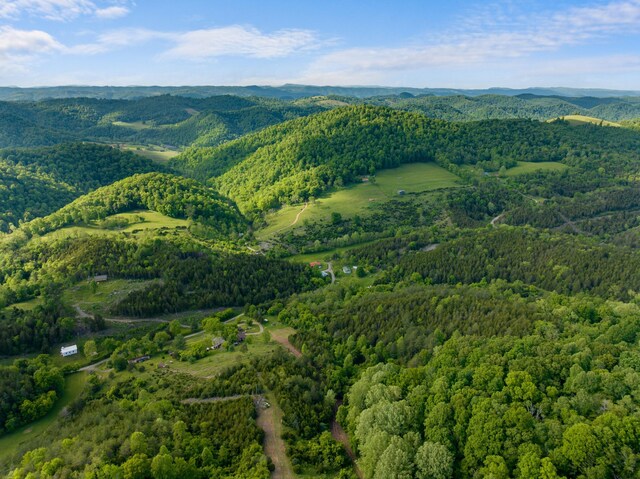 1250 Clinch Mountain Rd, Eidson, TN 37731
