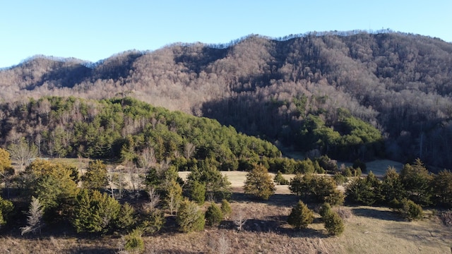 property view of mountains featuring a view of trees