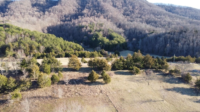 mountain view featuring a view of trees