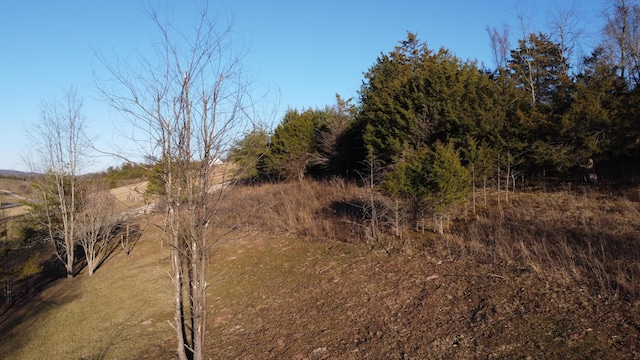 view of local wilderness