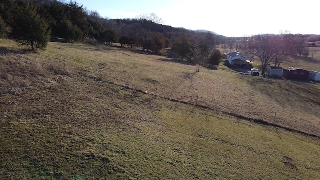 view of yard with a rural view