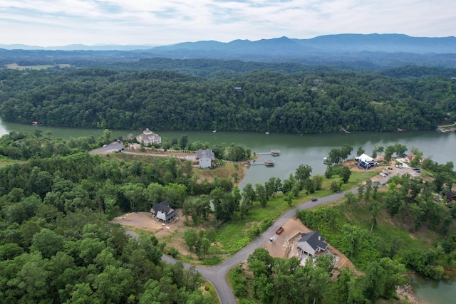 LOT44 Stone Harbor Dr, Dandridge, TN 37725 - photo 19