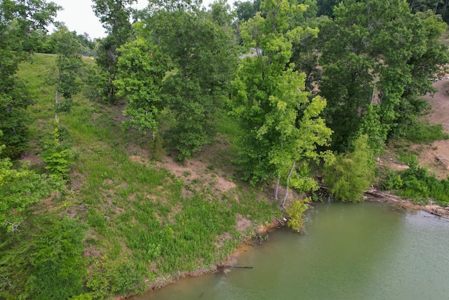 LOT44 Stone Harbor Dr, Dandridge, TN 37725 - photo 15