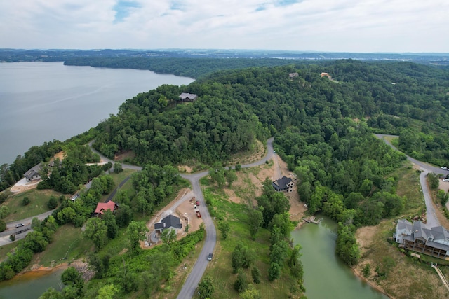LOT44 Stone Harbor Dr, Dandridge, TN 37725 - photo 17