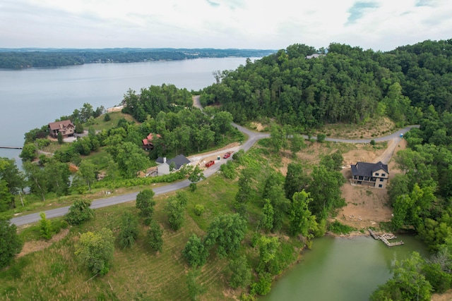 LOT44 Stone Harbor Dr, Dandridge, TN 37725 - photo 10